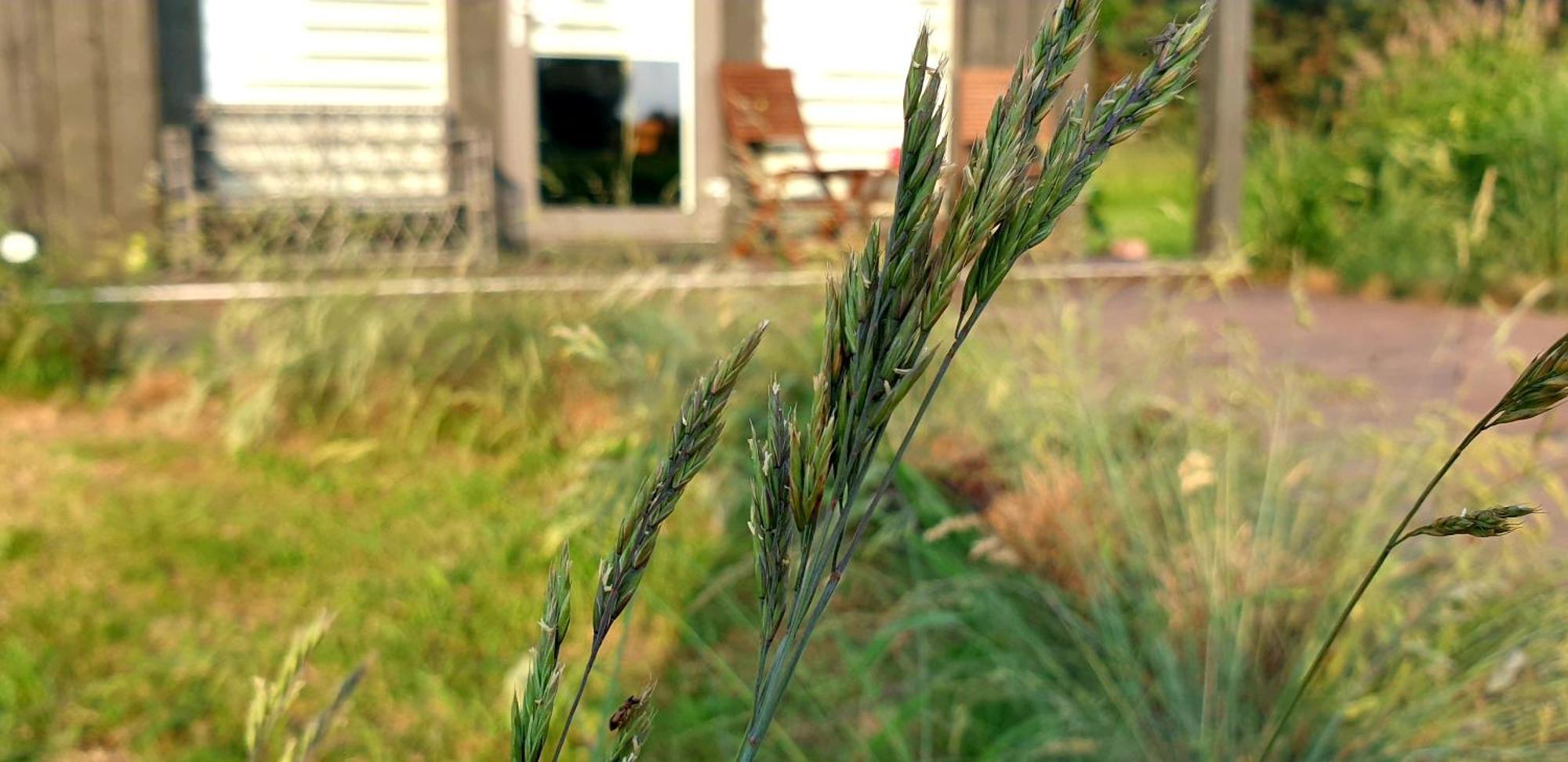 Anna's Home Jurmalciems Exteriör bild