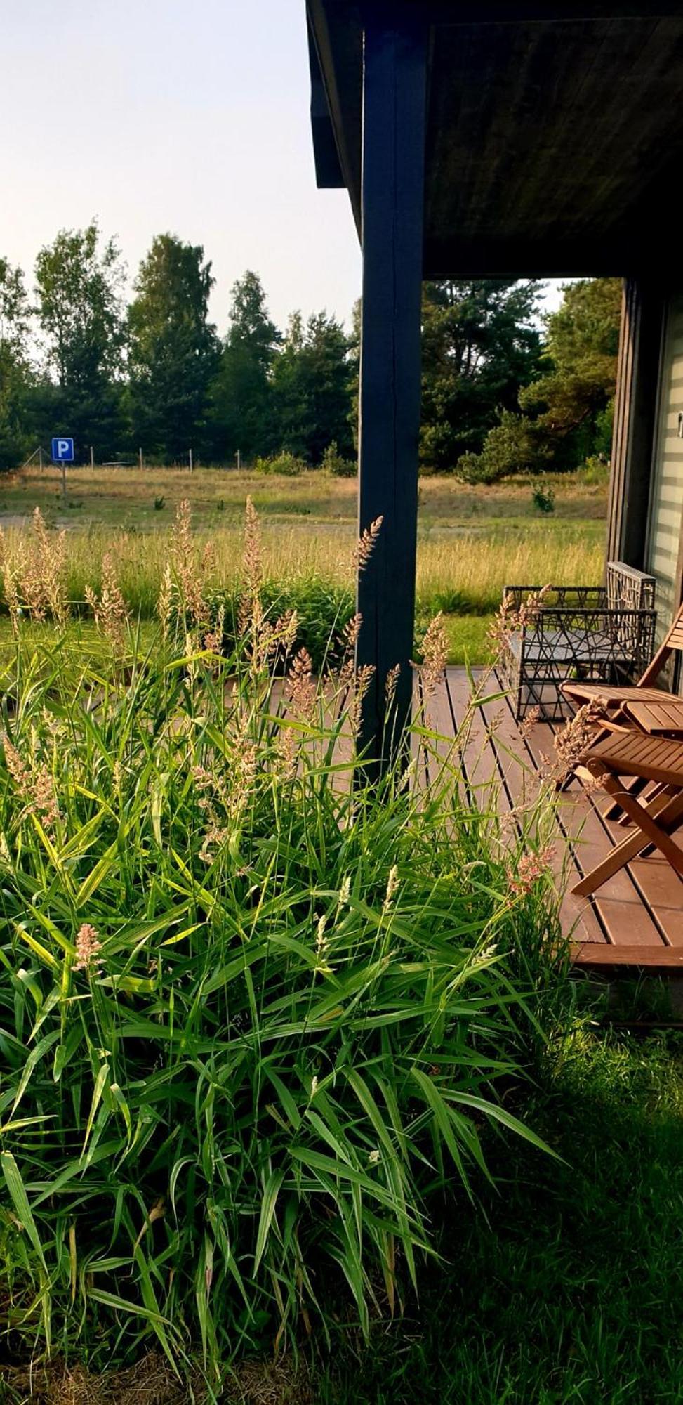 Anna's Home Jurmalciems Exteriör bild